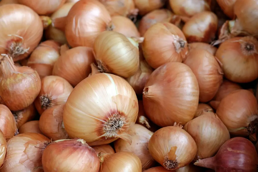 Indian Onions