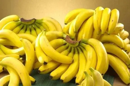 cavendish banana