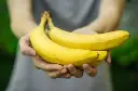 canvendish banana