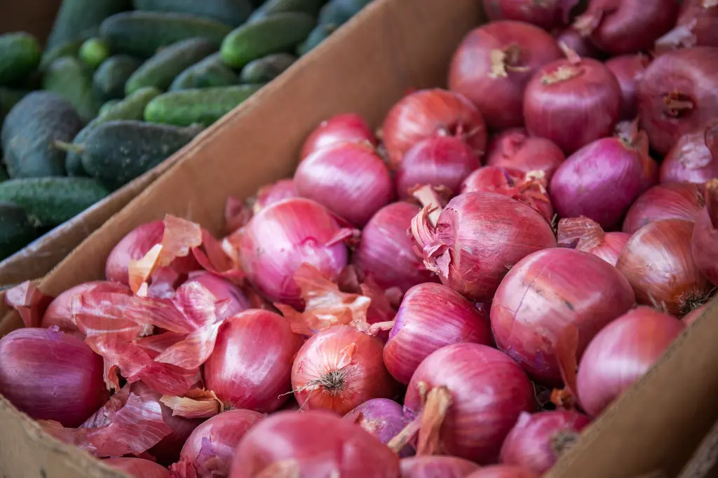 Indian Onion