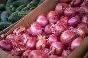 Indian Onion
