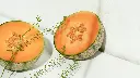 Rock Melon