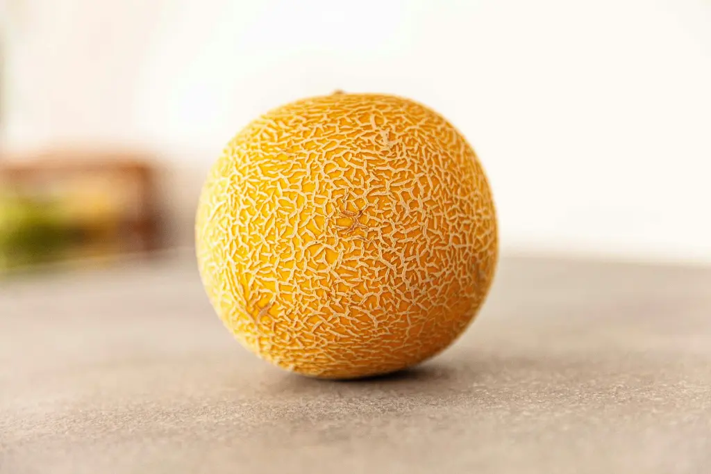 Rock Melon