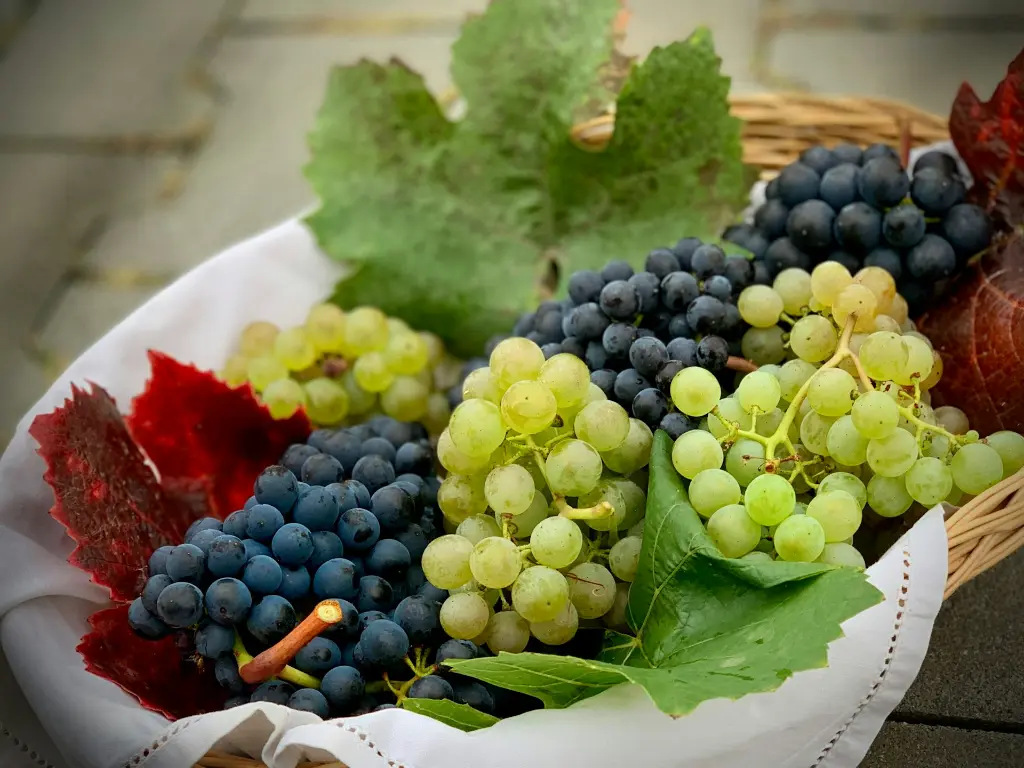 Farm Fresh Grapes