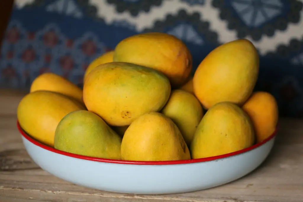 Mango Indian