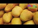 Mango Video