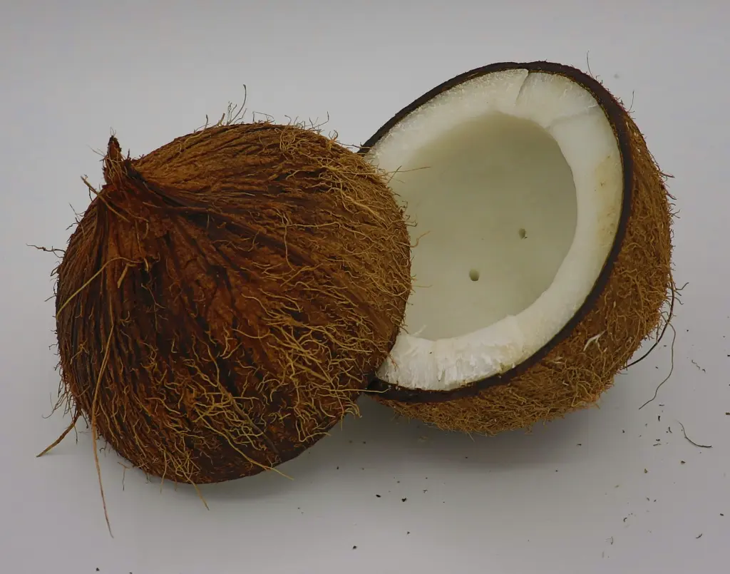 Husk Coconut