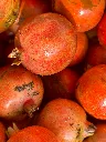 Fresh Pomogranate