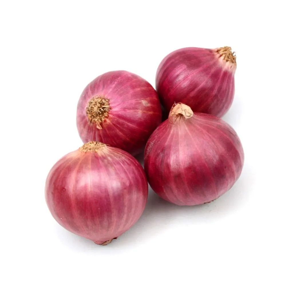 Onions India.webp