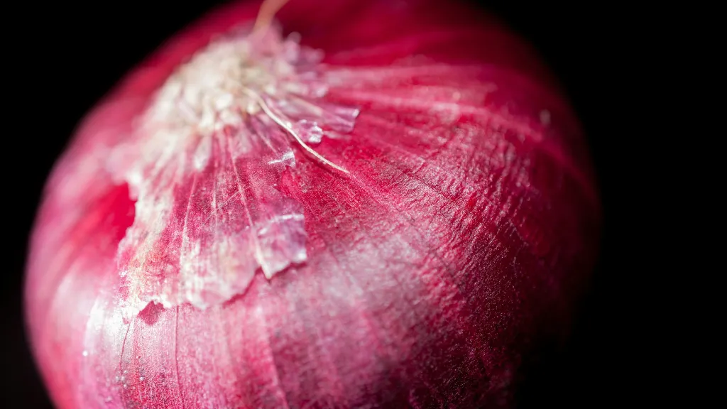 unsplash_iykR4TLTDHY_Indian Onions.webp
