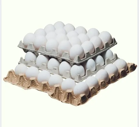 Egg Trays
