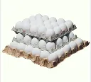 Egg Trays