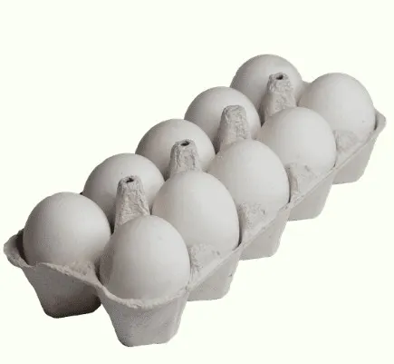 Egg Trays