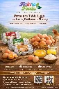 Premium Eggs