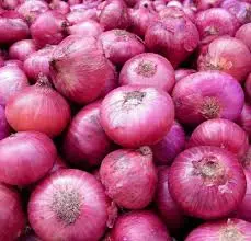 Onion Indian