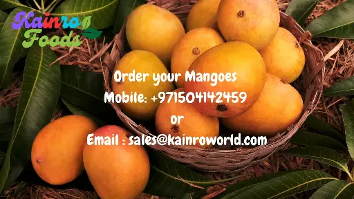 Mango Indian Alphonso